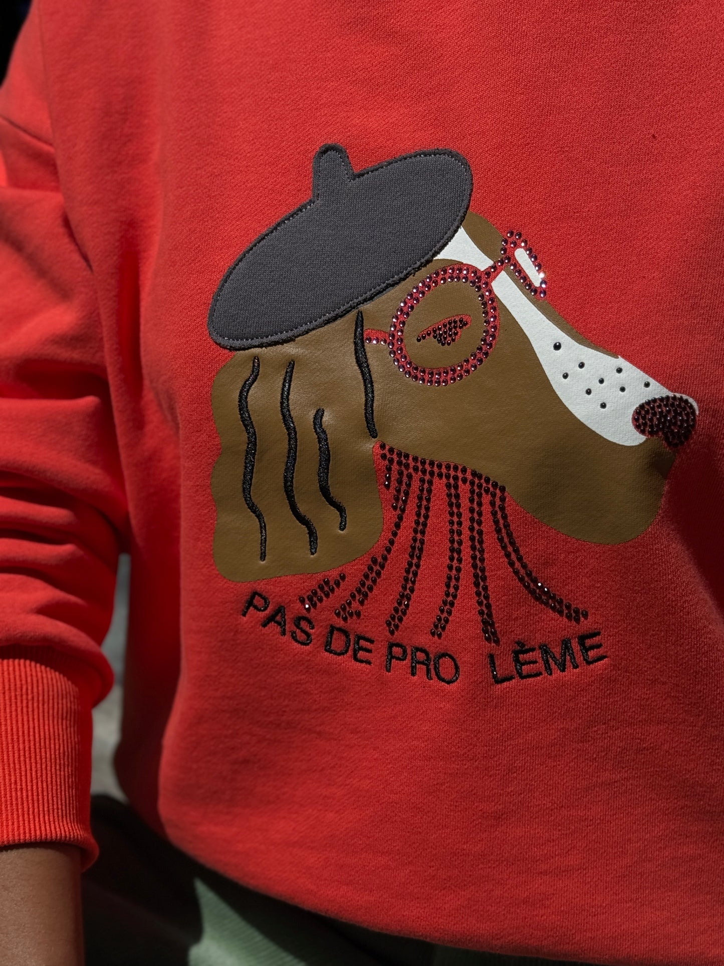 SUDADERA MONET