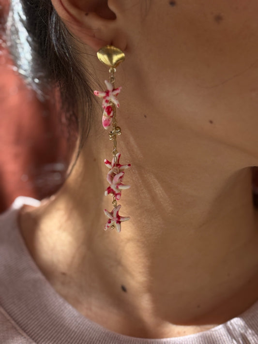 PENDIENTES STRAS RED