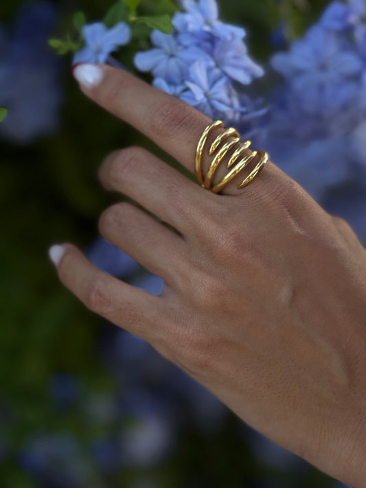 ANILLO ROMA