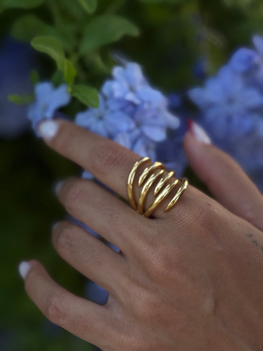 ANILLO ROMA