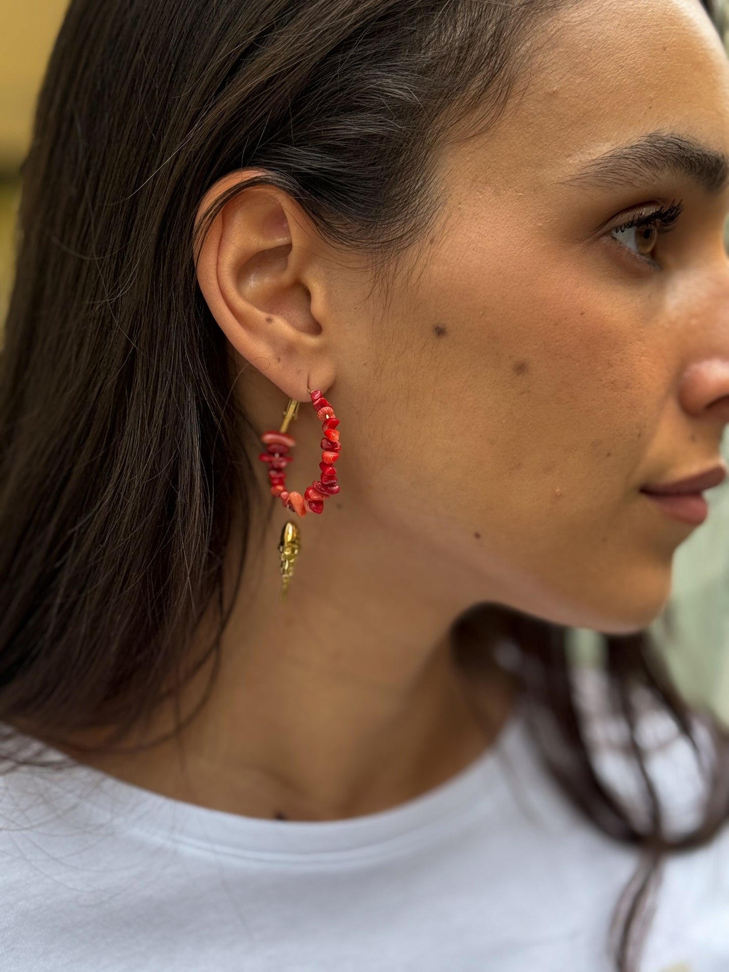 PENDIENTES MAR ROJO