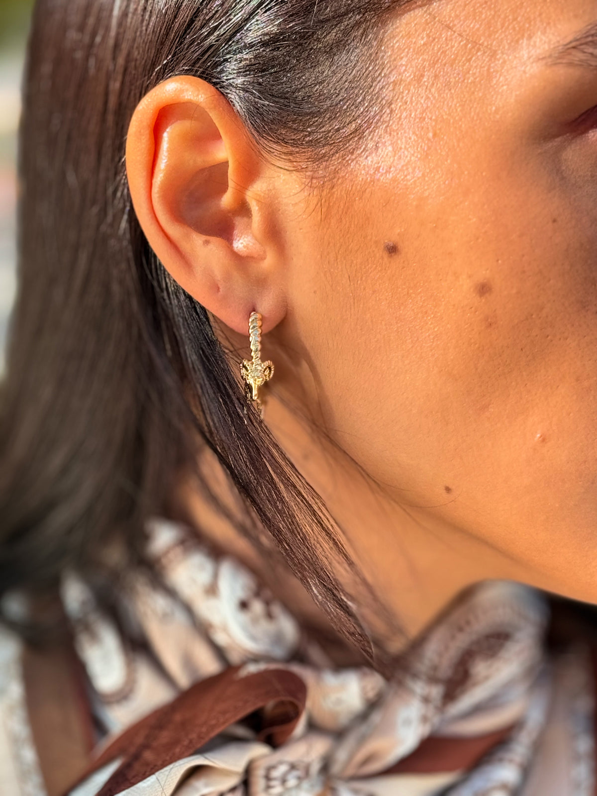 PENDIENTES ARIES